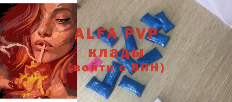 A-PVP СК КРИС  Гатчина 