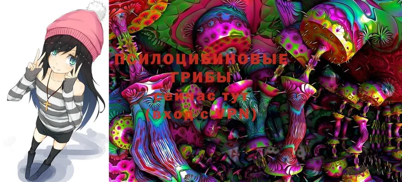 Галлюциногенные грибы Cubensis  Гатчина 